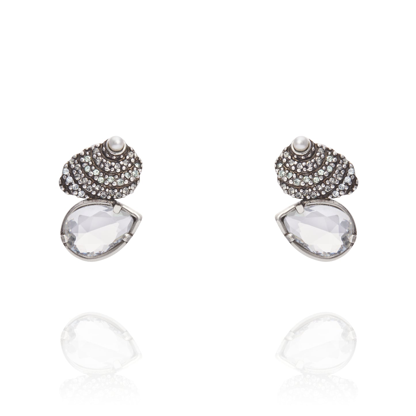 Oyster Earrings